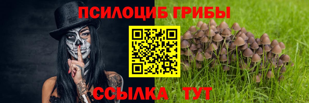 Гусиноозёрск  Галлюциногенные грибы Magic Shrooms  Вход с VPN 