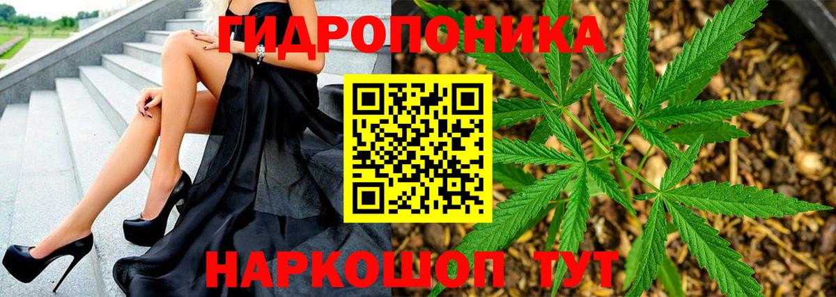 Гусиноозёрск  Канабис конопля  Вход с VPN  Конопля план 